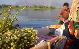 Shopkeepers of paradise